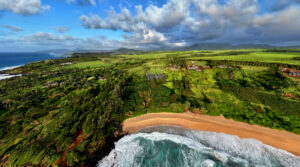 Coastal aerial showing the bluff, beach and surrounding landscape