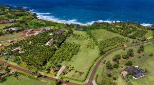 Aerial view of Kealia Kai #18 and the surrounding coastline