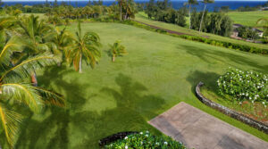 Cleared lawn, coconut palms and ocean views at Kealia Kai #18