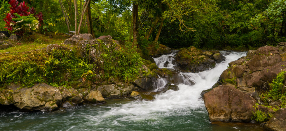 Papaikou Home with Waterfall & Adjacent Lot